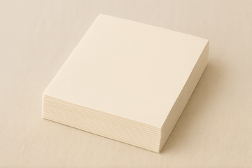 Paper Napkin (Pack of 10)