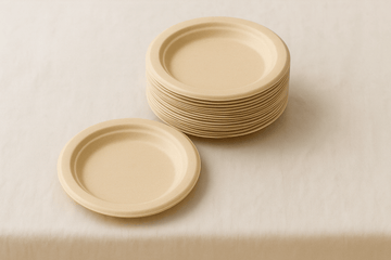Heavy Duty Paper Plate (Pack of 10)